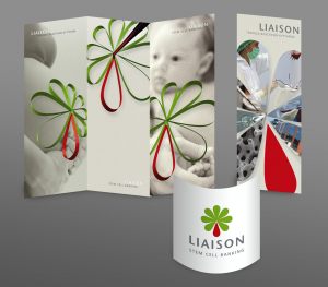 medical-flyer-brochure-Liaison